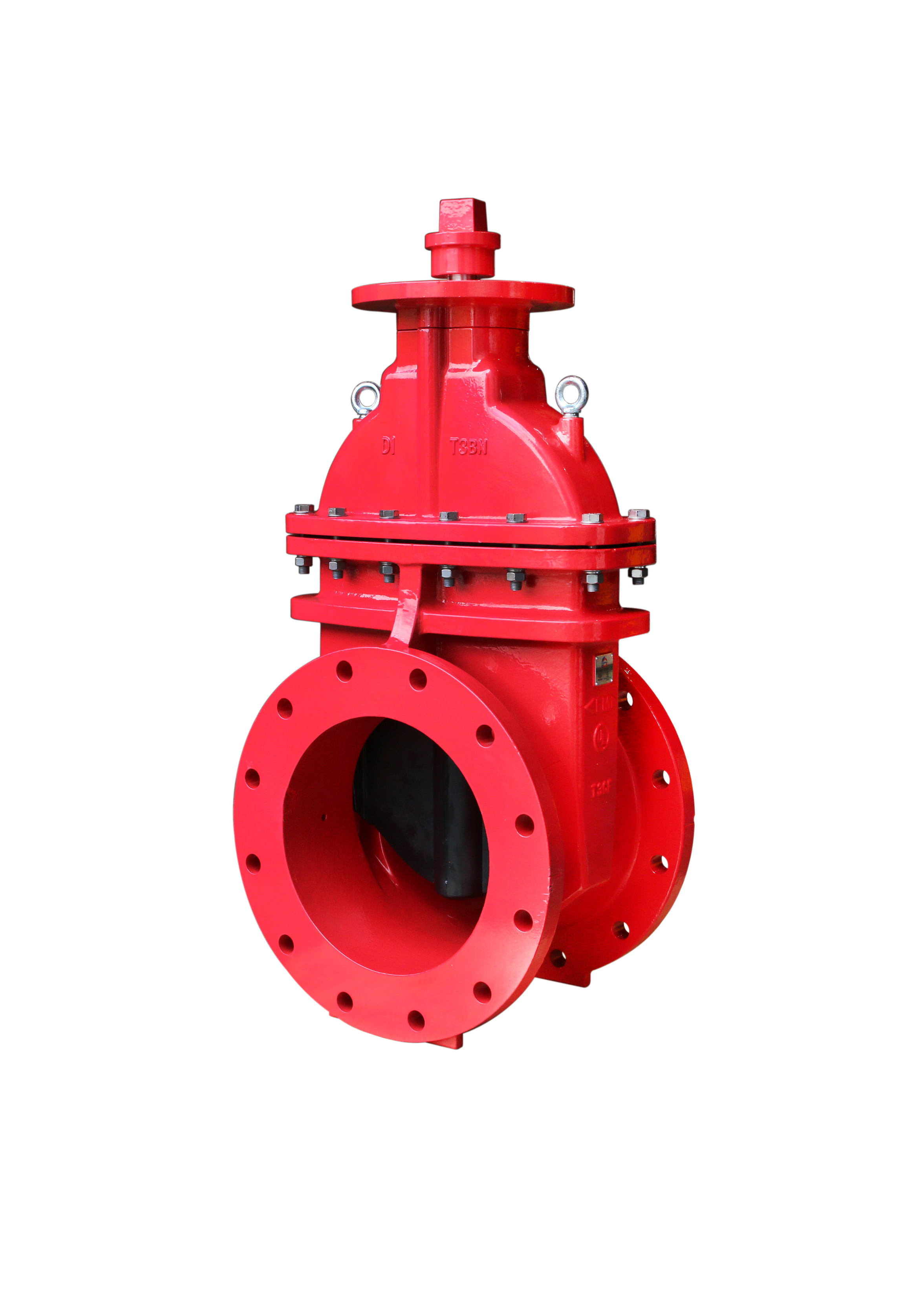 134FF NRS Resilient Seat Gate Valve