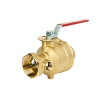 A61 Test & Drain Valve