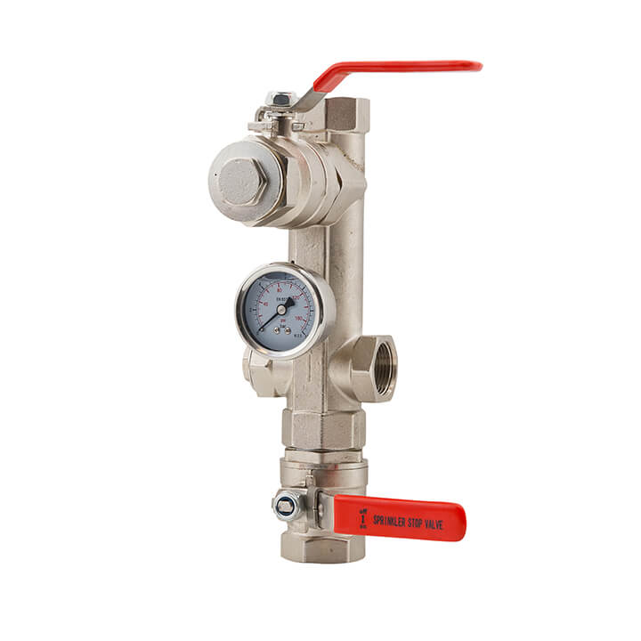 0.00 [Dual Port Alarm & Test Valve].jpg