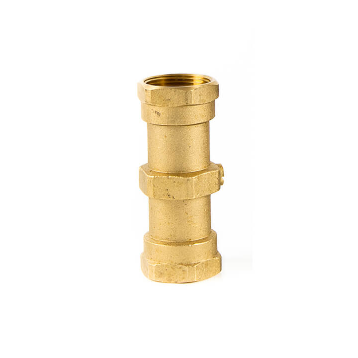 Double Check Valve