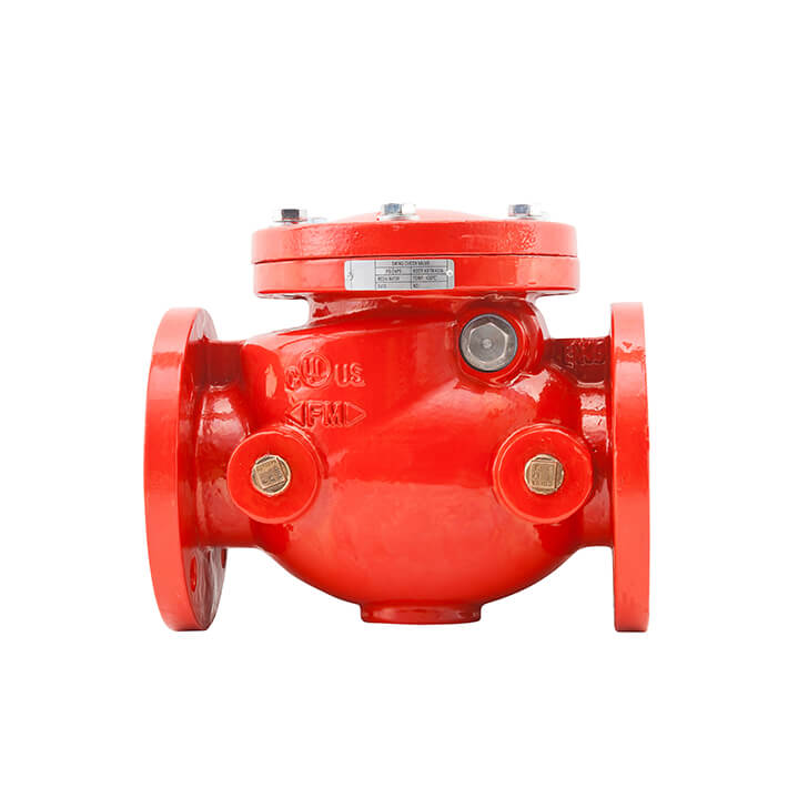 302 ANSI Swing Check Valve (Flanged)