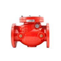 302 ANSI Swing Check Valve (Flanged)