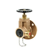 DRV002 Dry Riser Landing Valve Flanged