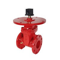 104FF NRS Resilient Wedge Gate Valve