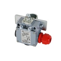 Monitoring Switch for Rapidrop Wet Alarm Valve