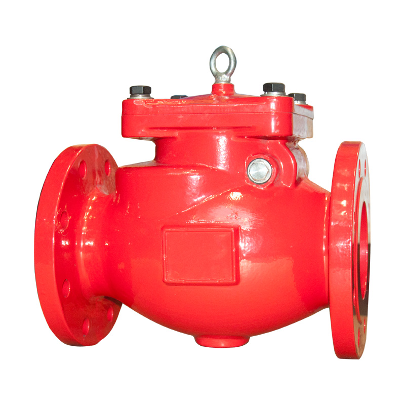 307 Swing Check Valve (Flanged)