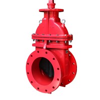 134FF NRS Resilient Seat Gate Valve