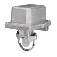 RDWFDEXP Explosion Proof Water Flow Detector