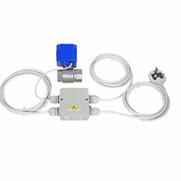 Priority Demand Valve Category 1